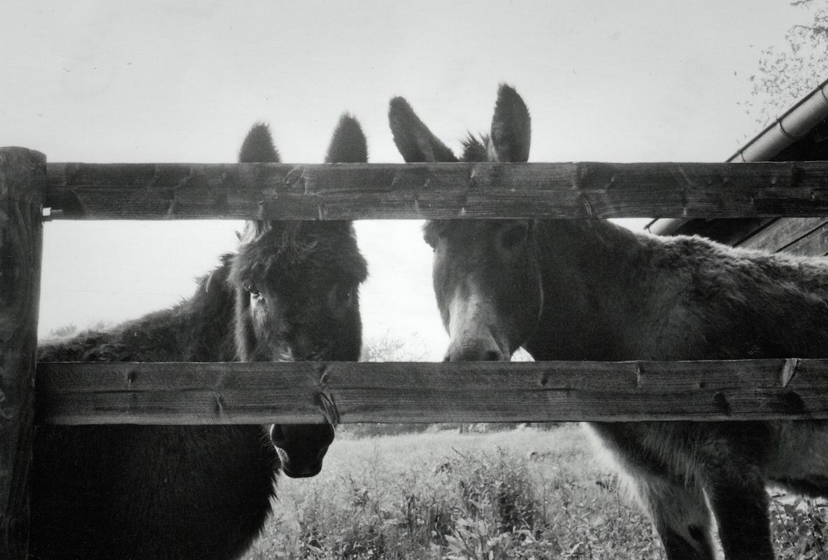 Photographe normandie : Damien Boucey