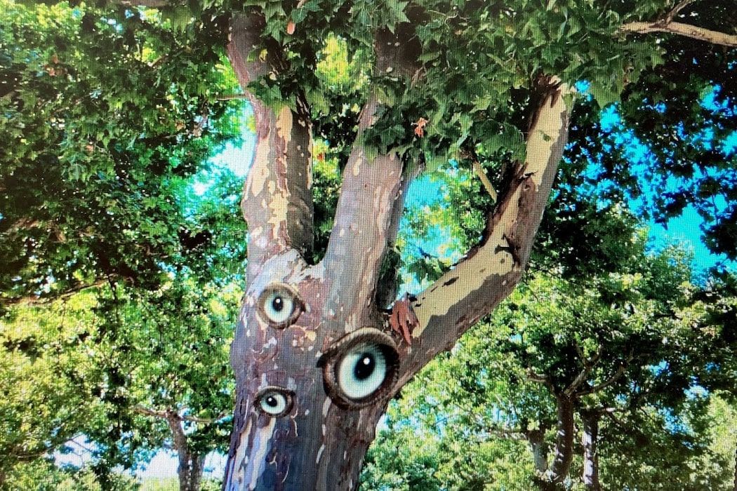landart Lisieux : des yeux dans les arbres - Mito Banjac