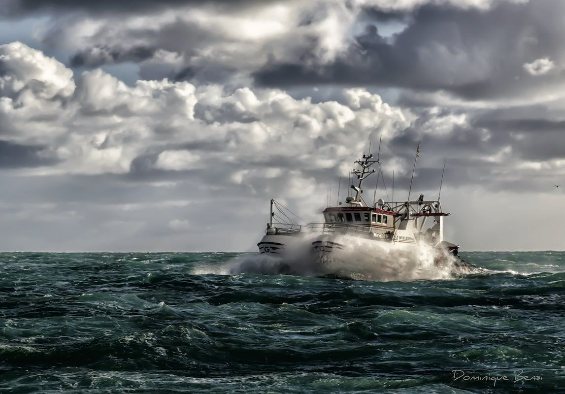 Photographe normandie : Dominique Bensi