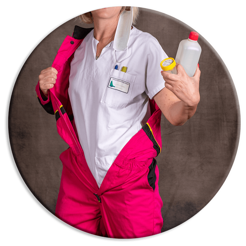 Festival photo Lisieux : Les p'tits oiseaux - Fabien Lestrade